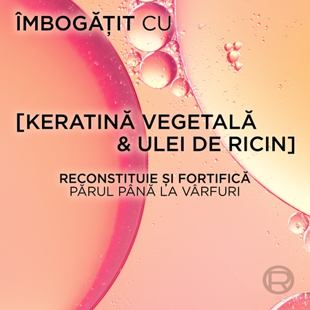 L’Oréal Paris Elseve Dream Long șampon regenerator cu pompa