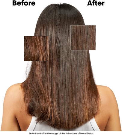 L’Oréal Professionnel Serie Expert Metal DX vorteilhafte Packung für gefärbtes und geschädigtes Haar