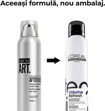 L’Oréal Professionnel Tecni.Art Morning After Dust șampon uscat