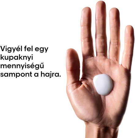 L’Oréal Professionnel Serie Expert Metal Detox mélyen tisztító sampon a festett és károsult hajra