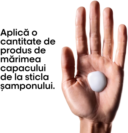 L’Oréal Professionnel Serie Expert Metal Detox curatarea profunda a scalpului pentru par vopsit si deteriorat