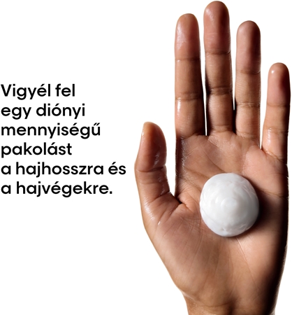 L’Oréal Professionnel Serie Expert Metal Detox mélyen tápláló maszk a festett és károsult hajra