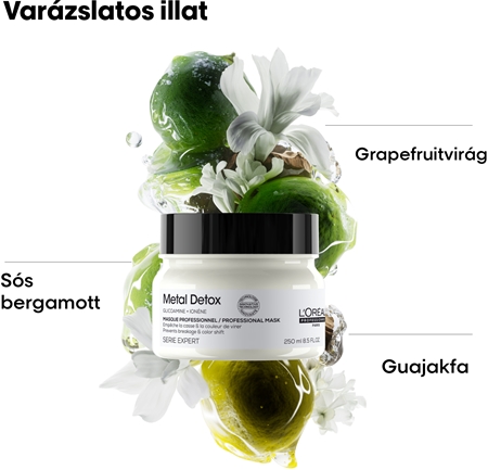 L’Oréal Professionnel Serie Expert Metal Detox mélyen tápláló maszk a festett és károsult hajra