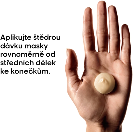 L’Oréal Professionnel Serie Expert Absolut Repair hloubkově regenerační maska pro suché a poškozené vlasy