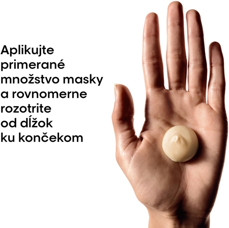 L’Oréal Professionnel Serie Expert Absolut Repair hlboko regeneračná maska pre suché a poškodené vlasy