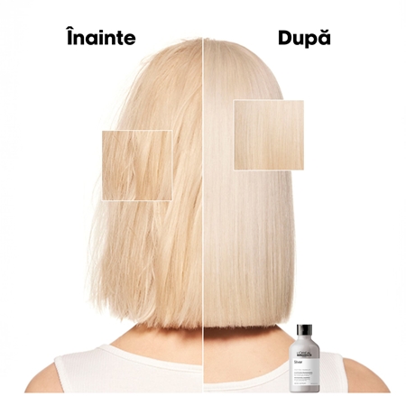 L’Oréal Professionnel Serie Expert Silver Sampon argintiu pentru par grizonat