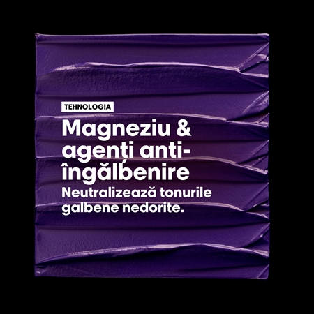L’Oréal Professionnel Serie Expert Silver Sampon argintiu pentru par grizonat