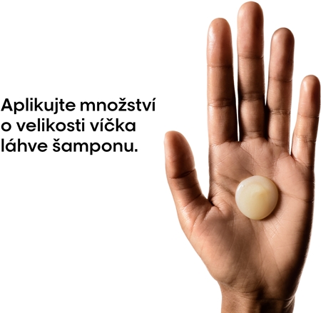 L’Oréal Professionnel Serie Expert Absolut Repair hloubkově regenerační šampon pro suché a poškozené vlasy