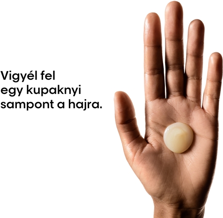L’Oréal Professionnel Serie Expert Absolut Repair mélyregeneráló sampon száraz és sérült hajra