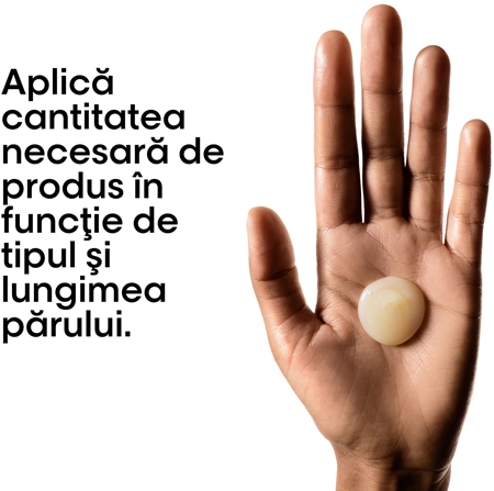 L’Oréal Professionnel Serie Expert Absolut Repair Sampon de restaurare in profunzime pentru păr uscat și deteriorat
