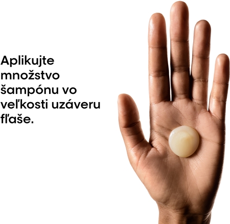 L’Oréal Professionnel Serie Expert Absolut Repair hĺbkovo regeneračný šampón pre suché a poškodené vlasy
