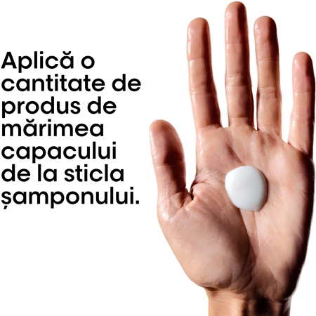 L’Oréal Professionnel Serie Expert Absolut Repair Molecular șampon fortifiant pentru păr deteriorat