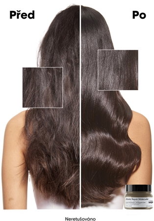 L’Oréal Professionnel Serie Expert Absolut Repair Molecular hloubkově posilující maska na vlasy
