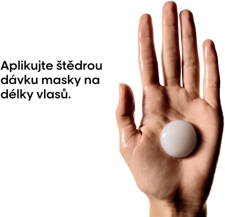 L’Oréal Professionnel Serie Expert Absolut Repair Molecular hloubkově posilující maska na vlasy