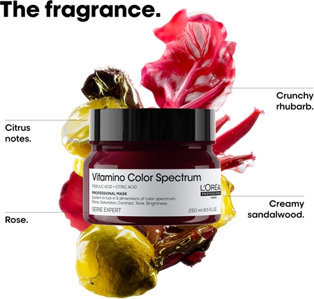 L’Oréal Professionnel Serie Expert Vitamino Color Spectrum Maske zum Schutz der Farbe