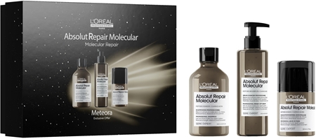 L’Oréal Professionnel Serie Expert Absolut Repair Molecular confezione regalo per capelli rovinati