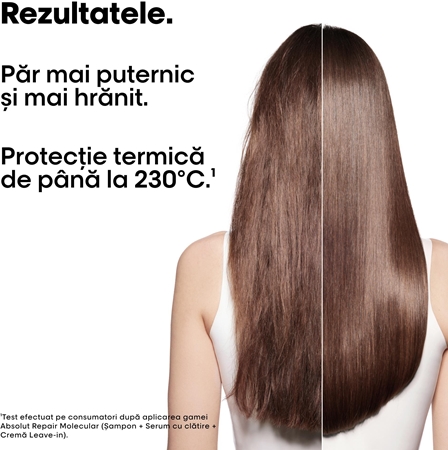 L’Oréal Professionnel Serie Expert Absolut Repair Molecular set cadou