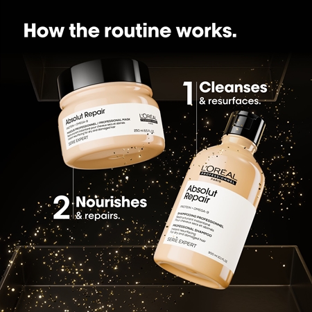 L’Oréal Professionnel Serie Expert Absolut Repair Geschenkset mit regenerierender Wirkung für trockenes Haar