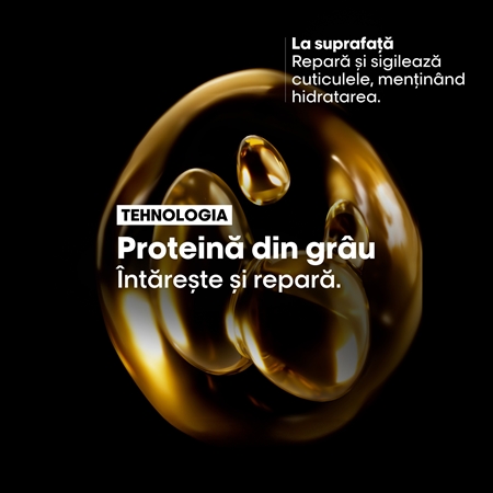 L’Oréal Professionnel Serie Expert Absolut Repair set cadou efect regenerator pentru par uscat