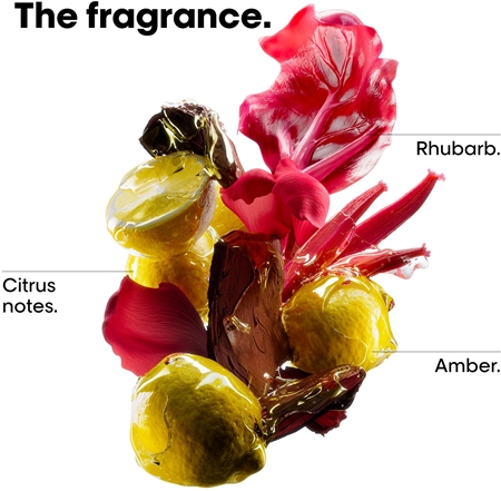 L’Oréal Professionnel Serie Expert Vitamino Color Spectrum Geschenkset zum Schutz der Farbe