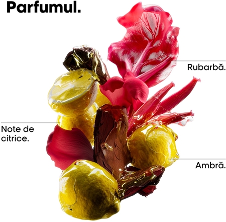 L’Oréal Professionnel Serie Expert Vitamino Color Spectrum set cadou pentru protecția culorii