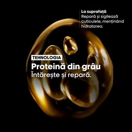 L’Oréal Professionnel Serie Expert Absolut Repair set cadou efect regenerator pentru par uscat