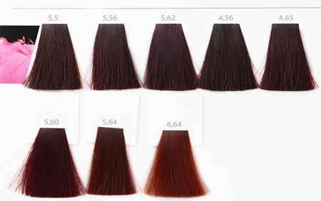 L’Oréal Professionnel Inoa Haarfarbe
