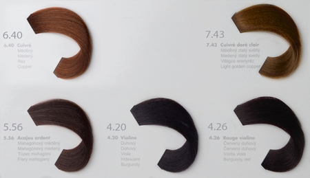 L’Oréal Professionnel Richesse de Diacolor ilgalaikiai plaukų dažai