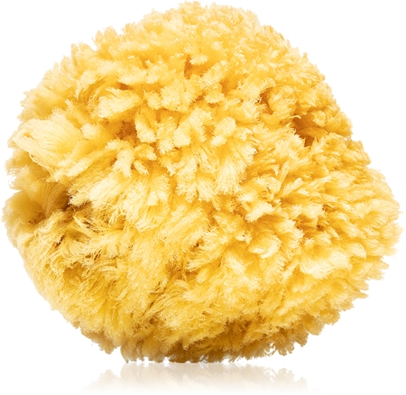 Magnum Natural Caribbean sea sponge