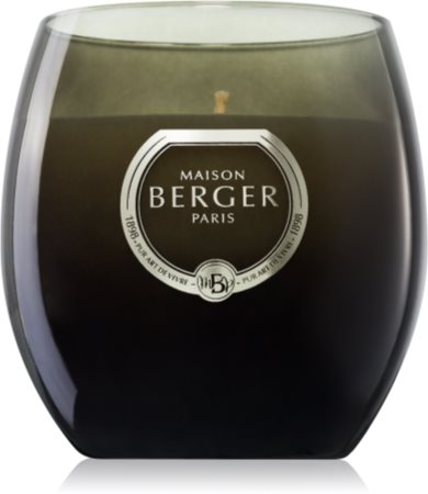 Maison Berger Paris Holly Amber Powder mirisna svijeća