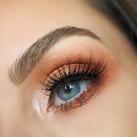 Makeup Revolution by Petra palette de fards à paupières