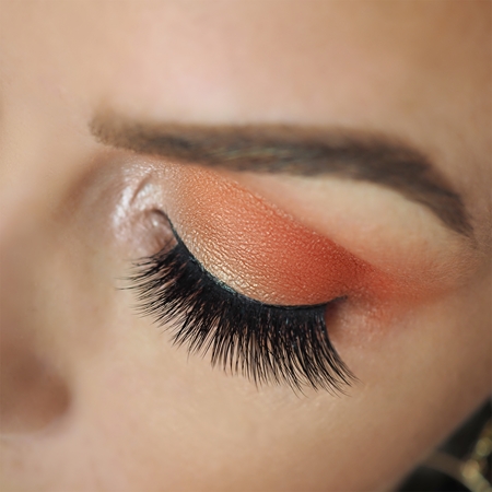 Makeup Revolution by Petra palette de fards à paupières