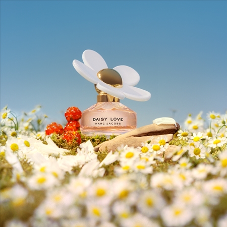 Marc Jacobs Daisy Love Eau de Toilette pour femme | notino.fr