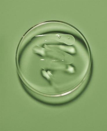 Maria Nila Purifying Cleanse exfoliační esence s detoxikačním účinkem
