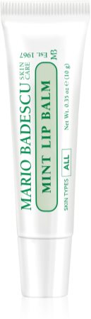 Mario Badescu Mint Lip Balm baume à lèvres ultra nourrissant