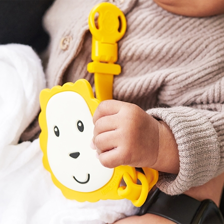 Matchstick Monkey Flat Face Teether & Soother Clip Kinkekomplekt lastele Lion