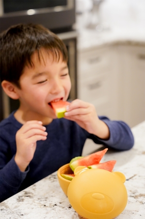 Melii Silicone Bowl with Lid Pausenbox