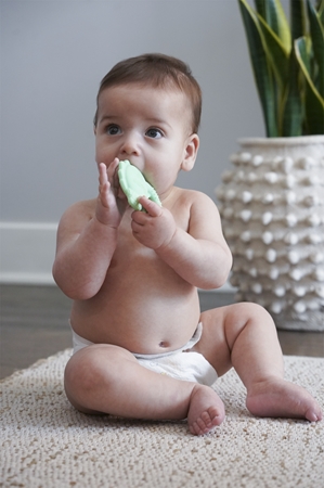 Melii Teethers chew toy