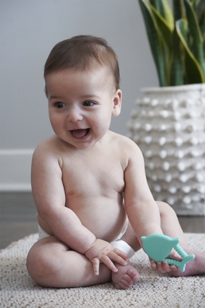 Melii Teethers chew toy