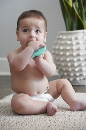 Melii Teethers chew toy