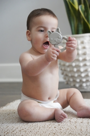 Melii Teethers bijtring
