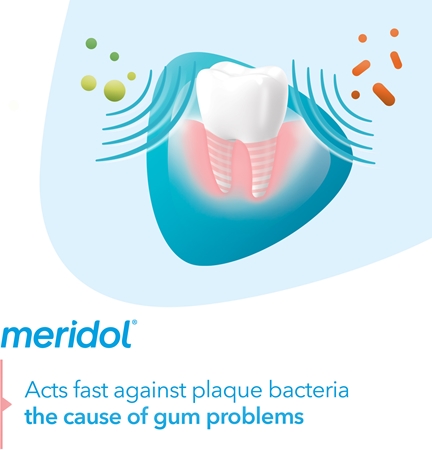 Meridol Gum Protection toothpaste supporting regeneration of irritated gums