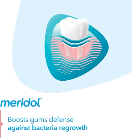 Meridol Gum Protection toothpaste supporting regeneration of irritated gums