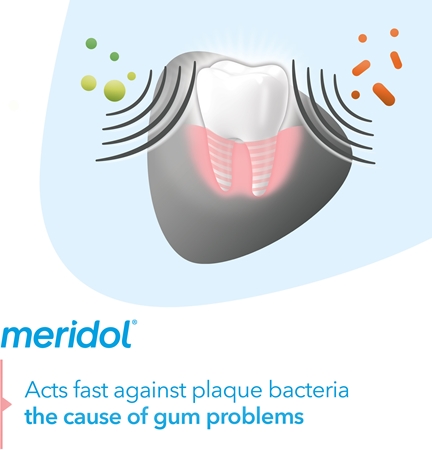 Meridol Gum Protection Whitening valkaiseva hammastahna