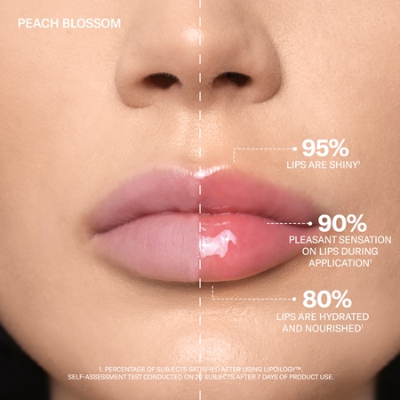 Mesauda Lipology Tinted Lip Oil