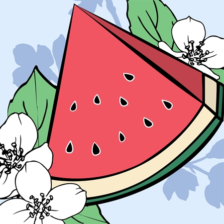 Mexx Fresh Splash Fresh Watermelon & Jasmine Opfriskende kropsspray til kvinder