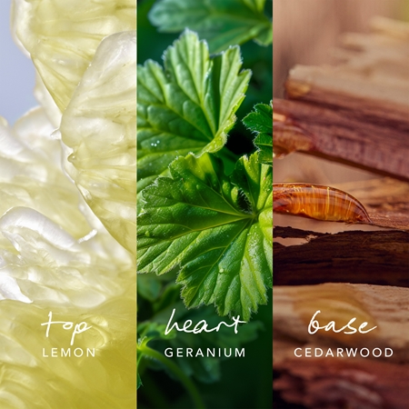 Mexx Inspired Nature Eau de Parfum per uomo