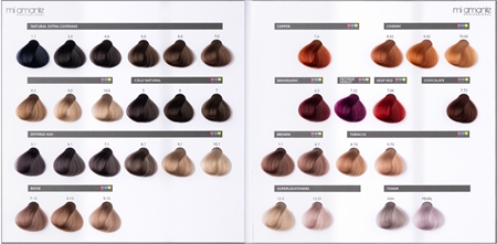 Mi Amante Professional Colori ilgalaikiai plaukų dažai