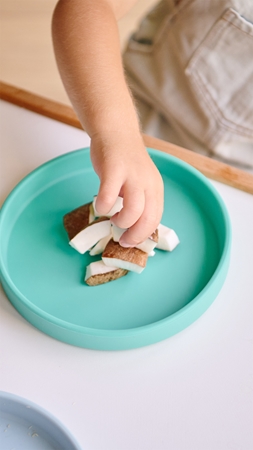 Minikoioi Basic Plate Teller