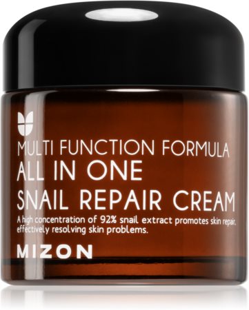 Mizon Multi Function Formula Snail creme regenerador  desodorizante de secagem rápida